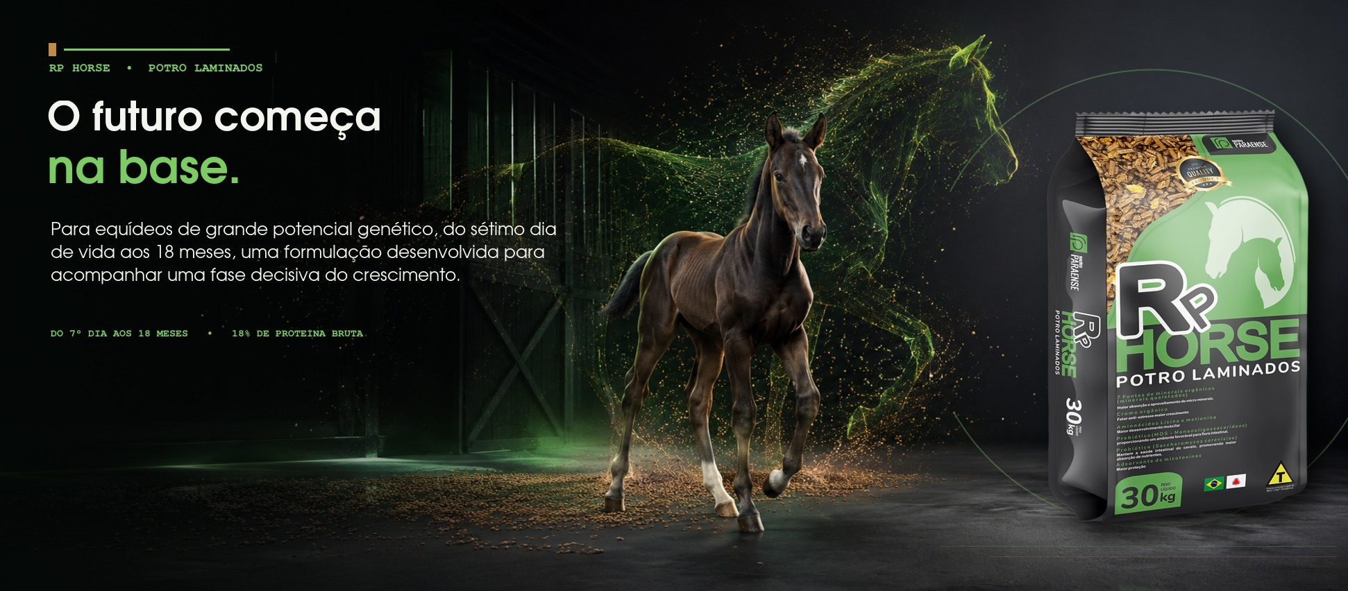 RP HORSE Potro Laminados: o futuro começa na base